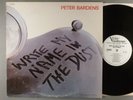 Peter Bardens  Write My Name In The Dust   Psych; Prog  White Label Promo
