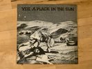 YDI A Place In The Sun 7