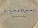 VELVET UNDERGROUND & NICO: SCEPTER STUDIOS ACETATE (LP vinyl *BRAND NEW*.)