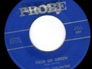 SUPER MOODY 60s GARAGE 45 - SOUNDS UNLIMITED - FIELD OF GREEN/I'M IN LOVE - HEAR