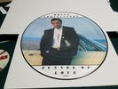 BRUCE SPRINGSTEEN PICTURE DISC 