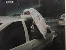 Blood Orange - Negro Swan 2 x LP - Black Vinyl Album + DL SEALED NEW Soul Record
