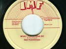 Don Hutchinson (Dan Hutson) What You Gonna Do , UK IMF (Tuff Gong)