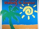 Eddy Grant Walking On Sunshine The Very Best Of Eddy Grant Lp
