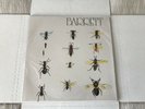 SYD BARRETT-BARRETT- *UK IMPORT VINYL LP* SEALED EMI/HARVEST SVLP281, Pink Floyd