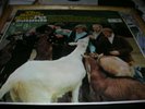 Beach Boys - Pet Sounds | T 2458 | Mono UK 1st Press | G+/VG | Vinyl Record LP