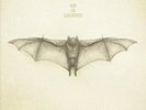 He Is Legend - White Bat [Used Very Good Vinyl LP] Explicit