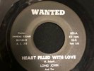 Garage Monster LONG JOHN & THE SILVERMEN:Heart Filled With love- Wanted Rare 45