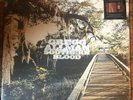Gregg Allman Southern Blood Deluxe Edition Hardwood Colored Heavyweight LP +