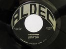 DONNA LYNN Gentle Green / Reflections Of Man GIRL TEEN GARAGE on ALDEC HEAR IT