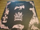 LED ZEPPELIN - LED ASTRAY IN BATON ROUGE - VINYL LP - RARE LIVE LP - LED ZEPPLIN
