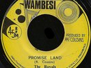 ROYALS  - PROMISE LAND / YAKUB REGGAE 45 7