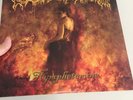 Cradle Of Filth - Nymphetamine [2x Vinyl LP VG/VG] RARE