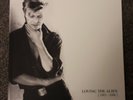 David Bowie - BOOK  From Loving The Alien 1983-1988 VINYL BOX SET FASTPOST