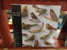 Kishi Bashi Omoiyari LP NEW WHITE Colored vinyl [Indie Pop Rock] OF MONTREAL