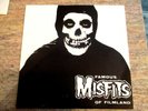 MISFITS-