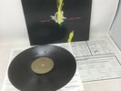 The Flesh Eaters Forever Came Today Vinyl Record LP First Press JRR 805 Punk