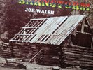 1972 Joe Walsh ‎– Barnstorm Record Vinyl LP – MCA 37053 – PLATINUM PLUS – EX/EX