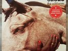 Suede The wild ones 12
