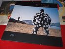 Pink Floyd:  Delicate Sound of Thunder   1st Press   A1/B1/A2/B1    EX+    LP