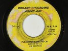 Deep Soul 45 - Smokey 007 - Please Don't Make Me Cry - Birdland - mp3