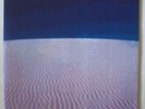 The Desert Sessions - Vol I - LP 10