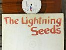 The Lightning Seeds ?– Pure  Vinyl, 12