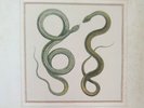 Fantomas - Vinyl - Suspended Animation - LTD EDITION - IPECAC OFFICIAL - MIKE P