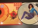 KATE BUSH The Kick Inside - Rare 1st Press UK Picture Disc 12