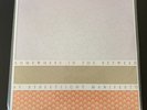 Streetlight Manifesto - Somewhere in the Between (Vinyl, 2011, Victory)