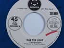 Rock 45 TODD RUNDGREN I Saw The Light BEARSVILLE VG+ promo blue wax HEAR