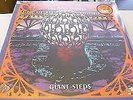 Boo Radleys Giant Steps 2XLP 20th Anniversary - NEW/SEALED
