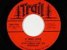 Sweet Soul/Funk 45 - Little Caesar & Euterpeans - It Was Love - Trail - rare