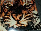 Survivor eye of the tiger lp vinyl record 1982 Scott brothers  fz38062 new seale