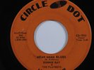 Rockabilly 45 RONNIE RAY & THE PLAYBOYS Mean Mama Blues CIRCLE DOT HEAR
