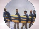 THE BEACH BOYS Surfer Girl Vinyl LP DOL DOS626HP 2017 Picture Disc Brand New
