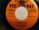 RARE & GREAT DOO WOP 1ST PRESS BY THE DELL VIKINGS ON FEE BEE# 214