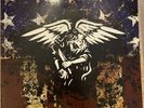 Give up the Ghost - Year one yellow/black Vinyl, Hardcore, SXE, Terror, Madball