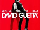 David Guetta ?– Nothing But The Beat - 2 x LP - Red Vinyl - New