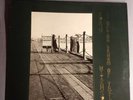 ROBYN HITCHCOCK: I Often Dream Of Trains LP. UK Midnight Music NICE