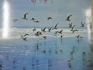 1974 Poetry of The Sea 海诗 Blue Seas Grand Orchestra LP 黑膠唱片 Tokyo Japan