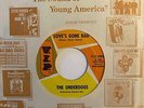 Mod Garage Northern Soul 45 UNDERDOGS Love's Gone Bad/Mo Jo Hanna VIP HEAR NM