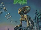 Blood Incantation ?– Hidden History Of The Human Race _ orbital haze Vinyl LP+CD