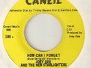 JOEY DEE How Can I Forget You CANEIL ORIGINAL WIGAN CASINO NORTHERN SOUL USA 45