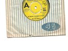 WE THE PEOPLE 'YOU BURN ME UP AND DOWN' DEMO PSYCH 1966 60'S