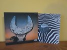 ACHIM REICHEL: A.R.IV, ZEBRA, 2949 008, GER 1st, 12