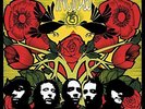 Incubus-A Crow Left Of The Murder (2LP Coloured) (UK IMPORT) VINYL NEW