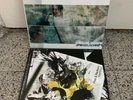 2 x Fiva Mc & Radrum „Spiegelschrift“ + „Kopfhörer“Vinyl LP Rap Blumentopf Torch