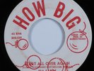 Soul Funk 45 IDA SANDS Start All Over Again HOW BIG HEAR