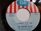 1968 Chicago Rock 45 THE CHERRY SLUSH I Cannot Stop You/ Don't Walk Away M-
